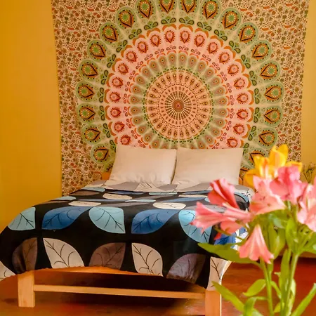 Tayta Wasi Guest House Pisac Exterior photo